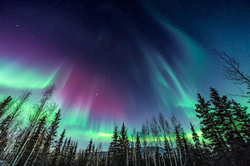 A vibrant display of the Northern Lights (Aurora Borealis) illuminating the polar night sky with green and purple hues, captured in high resolution.